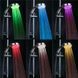 Насадка для душа LED SHOWER j1004 PR3 899280156 фото 4