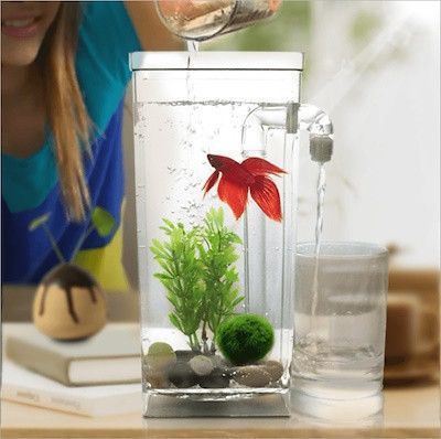 Акриловий акваріум для рибок My Fun Fish Самоочисний міні-акваріум з краном для легкого очищення 79131 фото