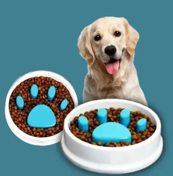 Годівниця для повільної подачі їжі Paw Perfect для котів та собак &middot; Миска Slow Feeder Bowl для домашніх тварин 52388 фото